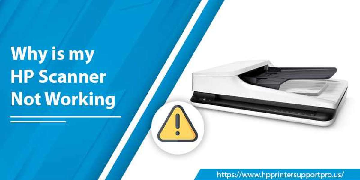 Why is my HP Scanner Not Working [How To Fix]