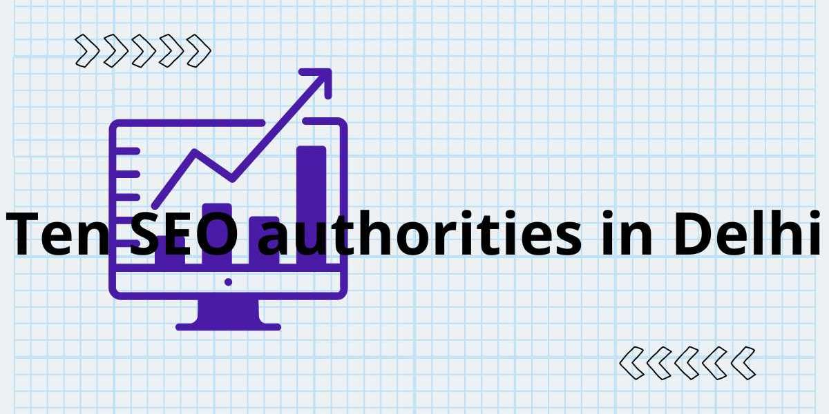 Ten SEO authorities in Delhi