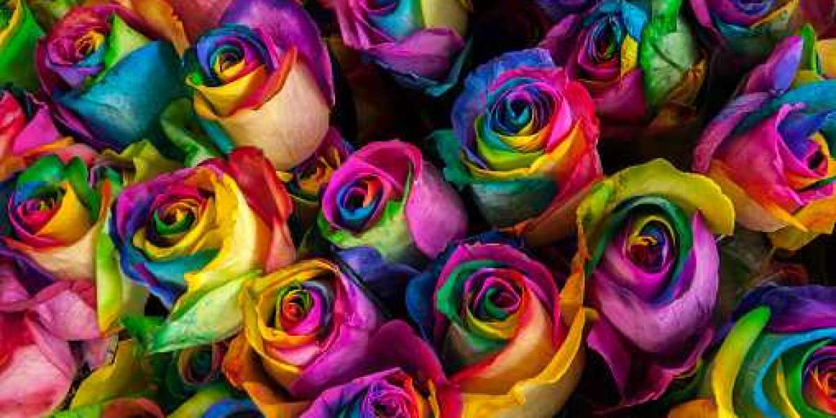 Rainbow rose delivery