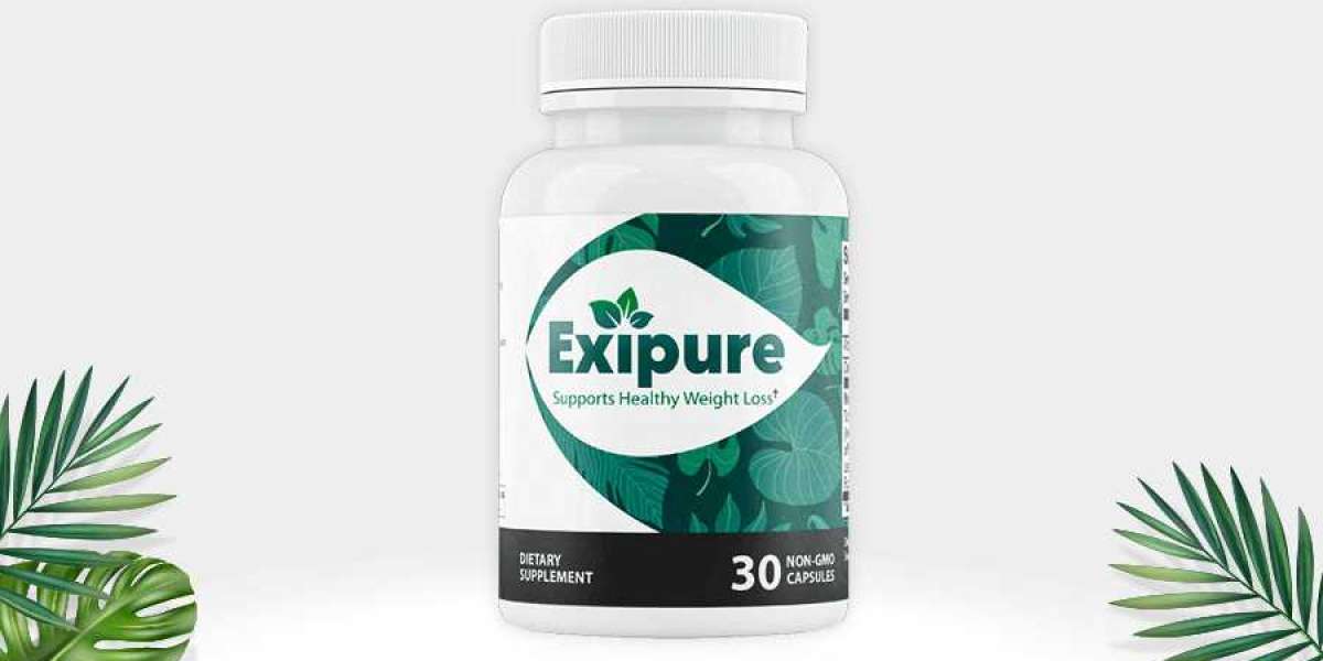 Exipure Reviews – Waste of Money or Worth the Money?