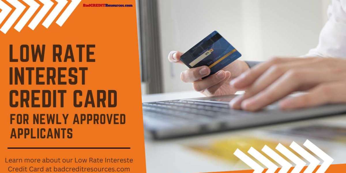 Best Low Interest Rate Credit Card For Newly Approved Applicants