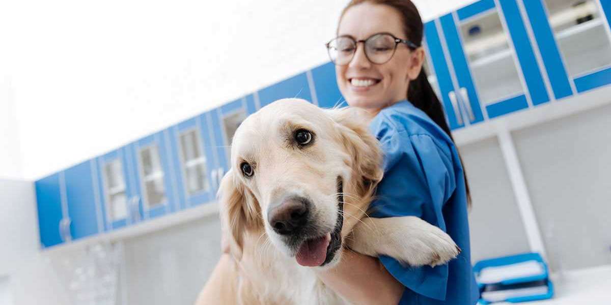 Veterinary Assistant Programs Vancouver, BC