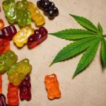 Biolife CBD Gummies