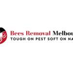 Bees Removal Melbourne