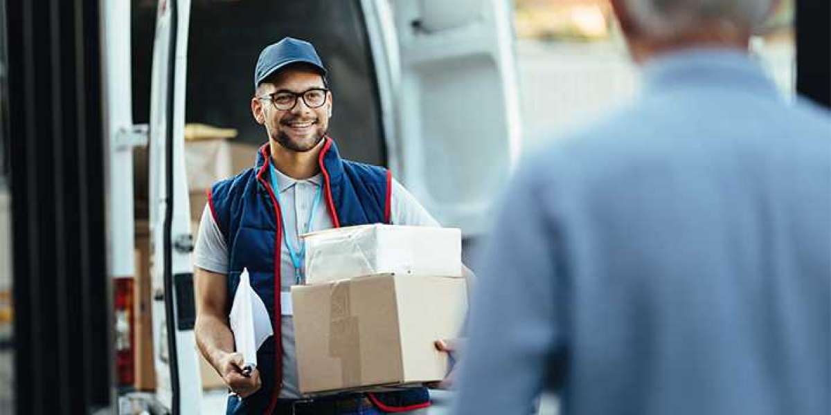 What are the roles and responsibilities of a Professional Delivery Company?