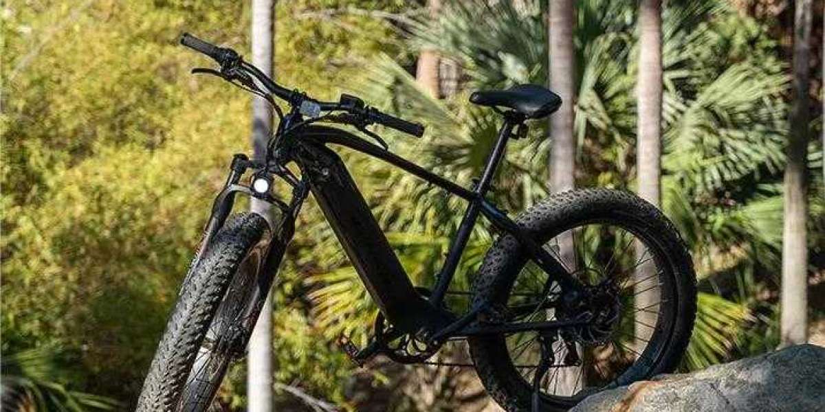 What are the different parts of an electric bike?