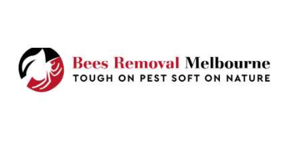 Want a bees removal expert?