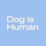 Dog Is Human