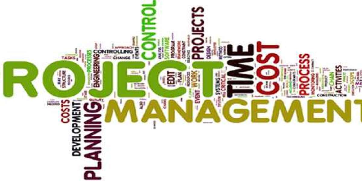 Premium-Quality Project Management Assignment Help In USA