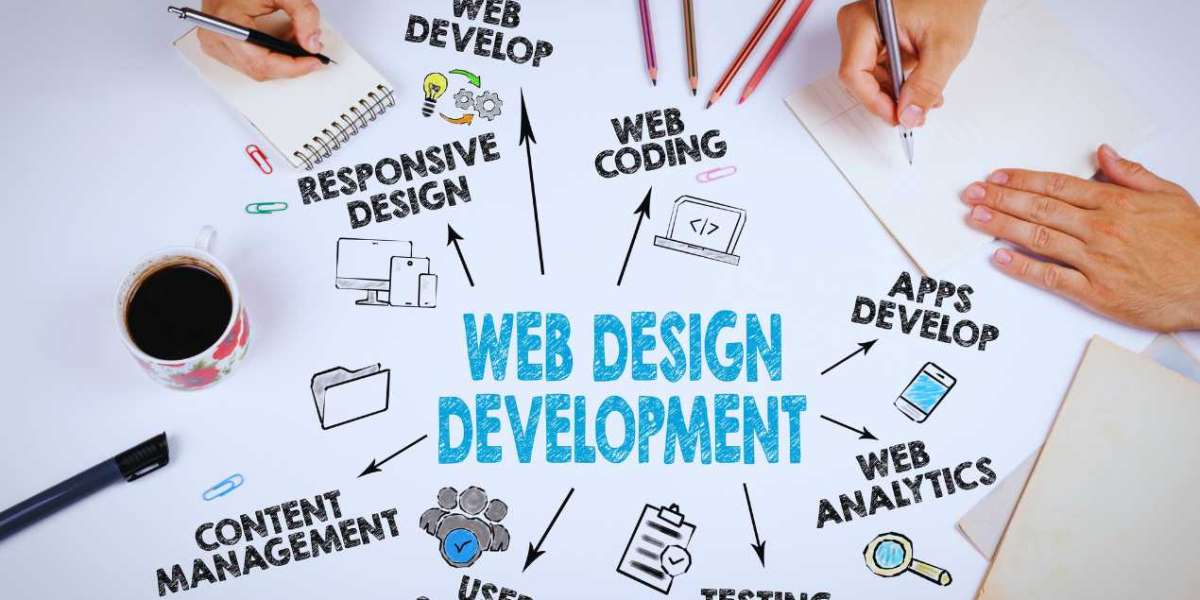 Things to Look for in a Web Design and Development Company