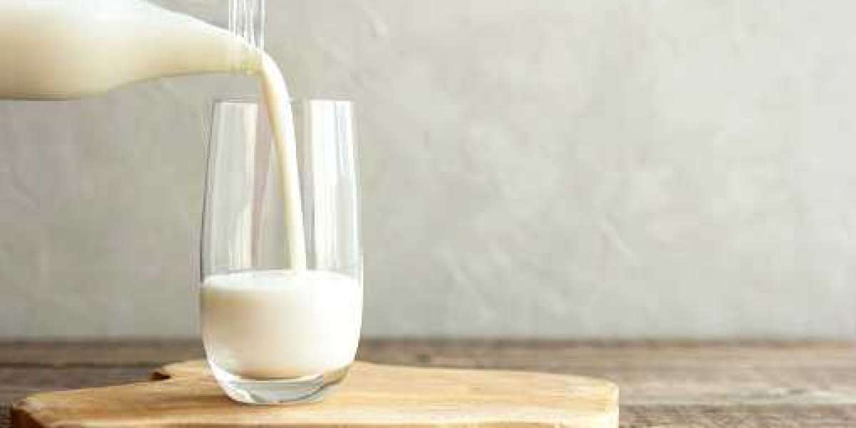 Milk Protein Market Research by Statistics, Application, Gross Margin, and Forecast 2030