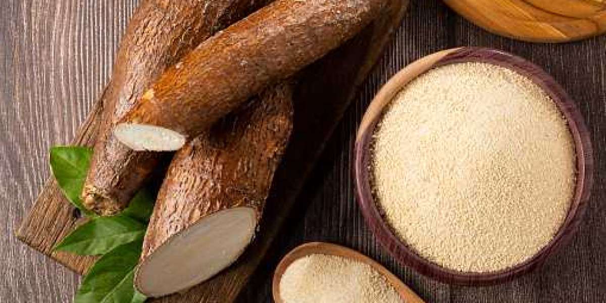 Cassava Market Insight, Size, Share and Trends forecast year  2030