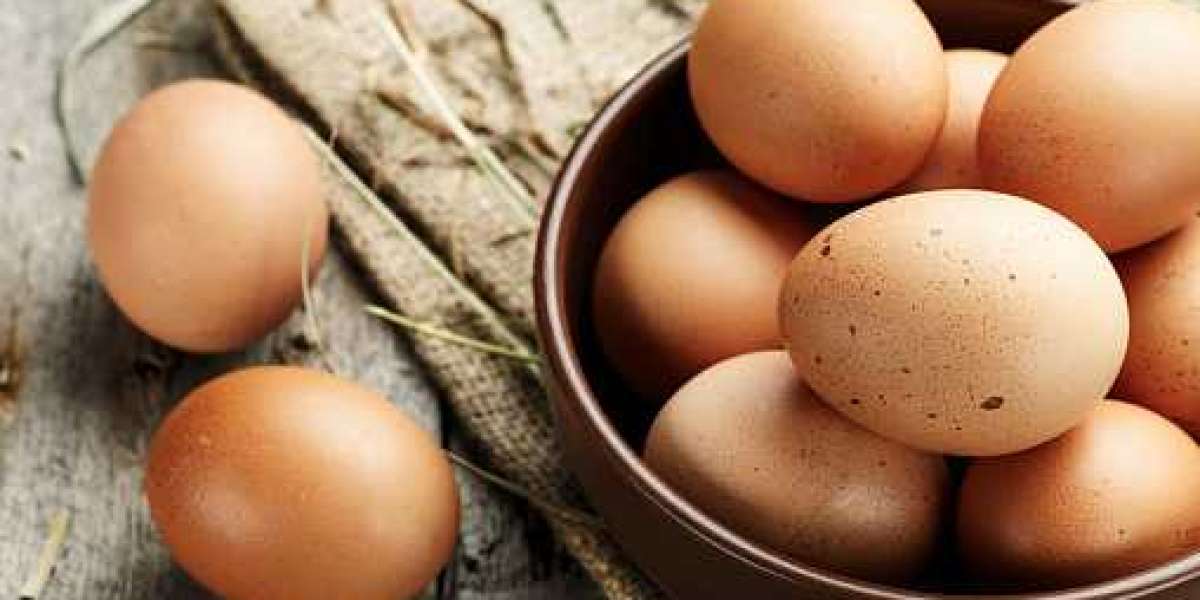 Egg Products Market Share of Top Companies with Application, and Forecast 2030