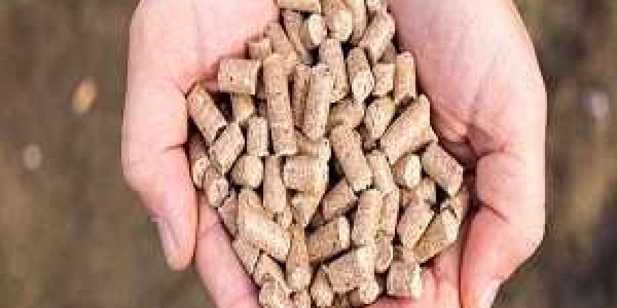 Compound Feed Market Size, Comprehensive Research, Growth Statistics, CAGR Status By 2022-2030