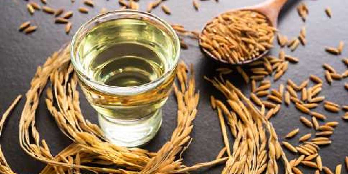 Rice Bran Oil Market Size, Research | Value Chain and Key Trends 2022-2030