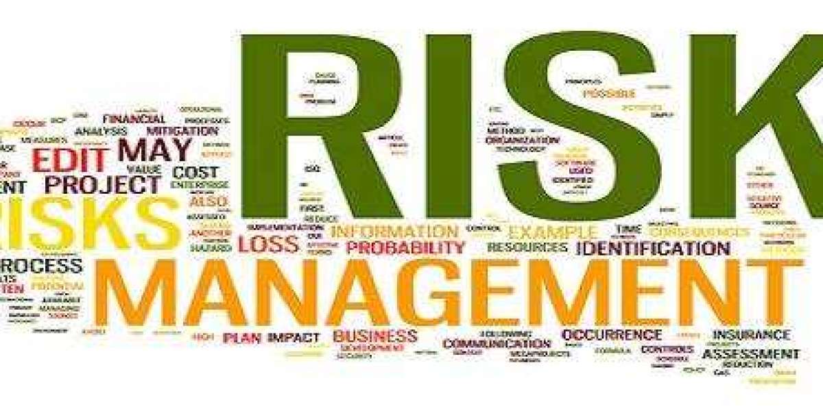 Get Great Grades With Risk Management Assignment Help