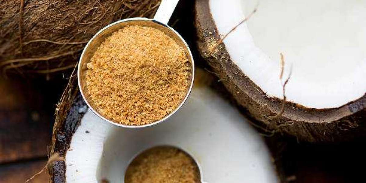 Key Organic Palm Sugar Market Players Analysis, Historic Data and Forecast year 2028