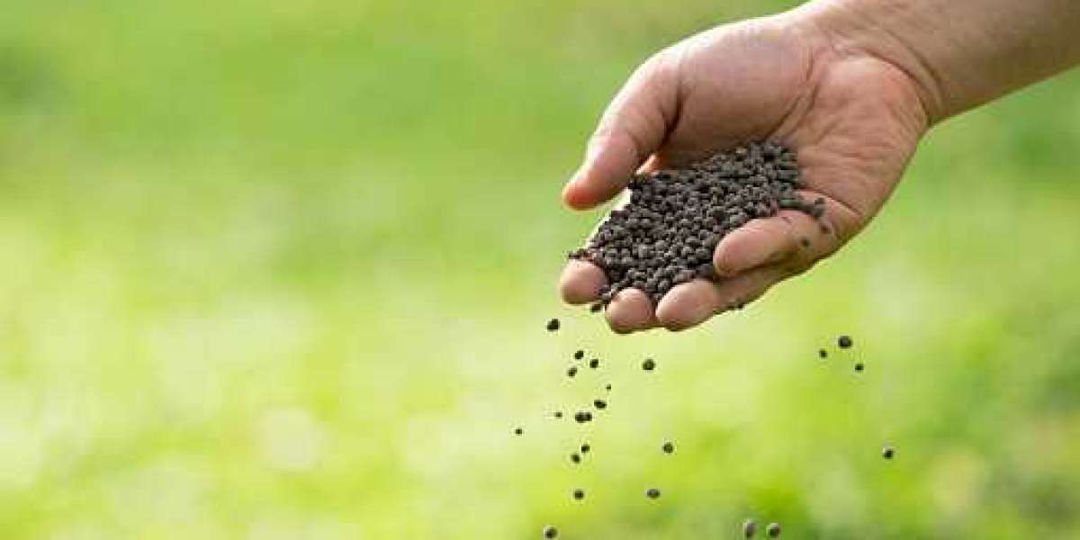 Fertilizer Additives Market Report by Regional Revenue, Competitor, and Forecast 2030