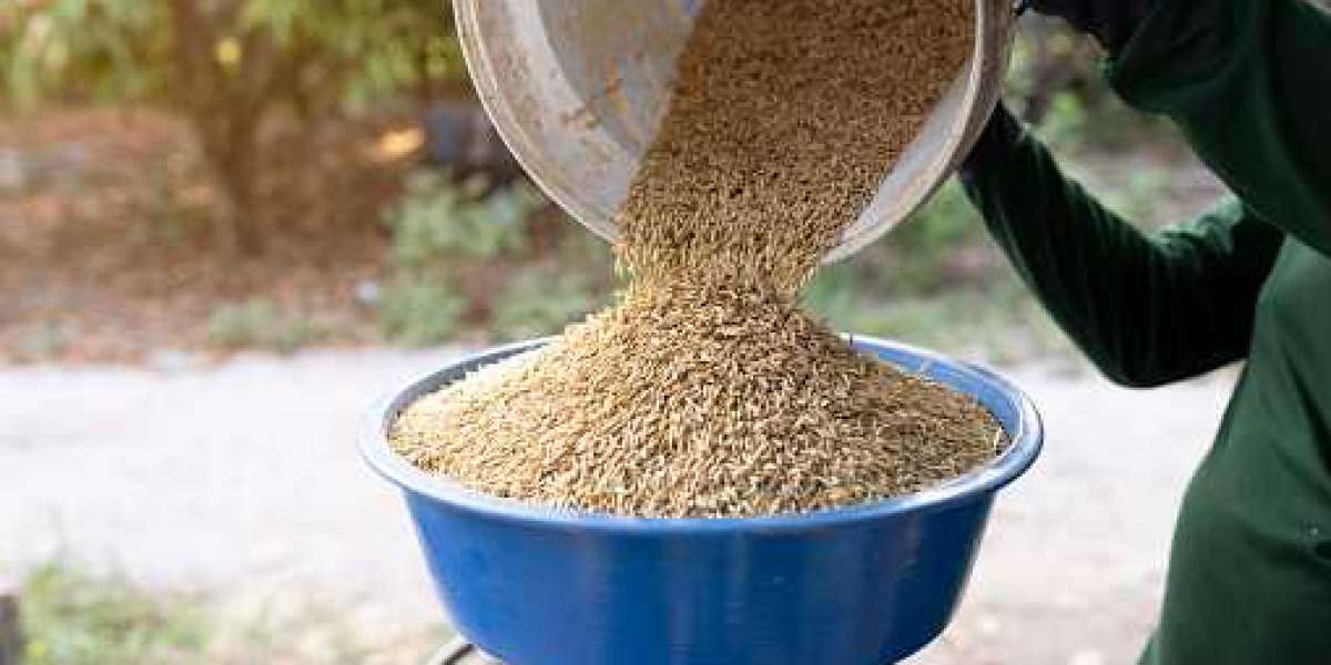 Distillers Grains Market Share, Drivers & Growth Forecast Period of 2022-2030