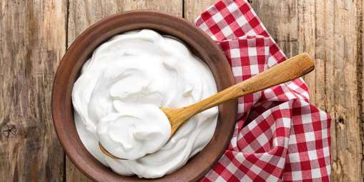 Dairy Cream Market Report by Application, Regional Revenue, Competitor, and Forecast 2028