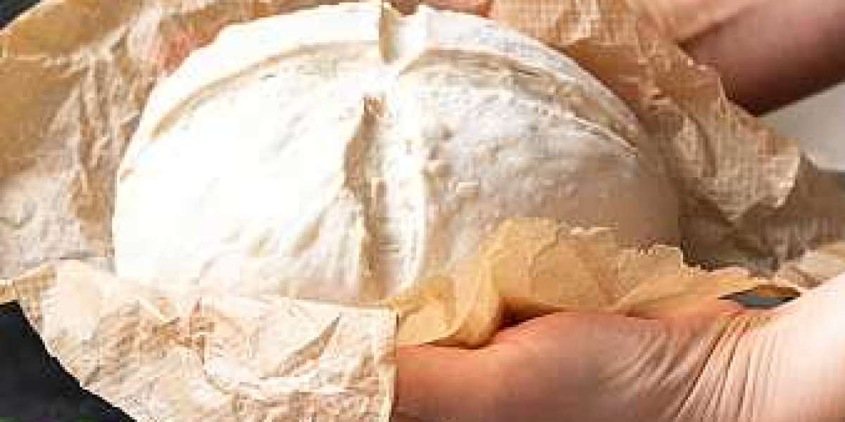 Feed Yeast Market Report by Application, Regional Revenue, Competitor, and Forecast 2030
