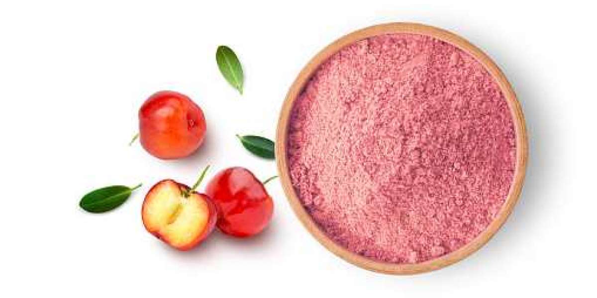 Acerola Extract Market Insight, Size, Share and Trends forecast year  2028