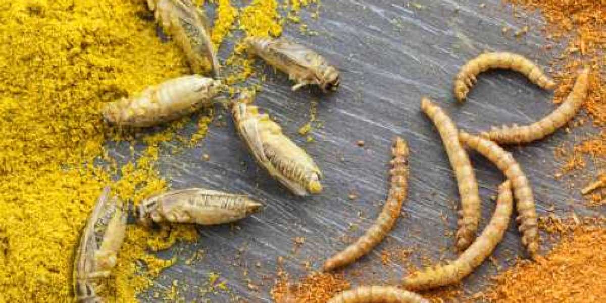 Insect Protein Market Insights Growth With Worldwide Industry Analysis To 2027