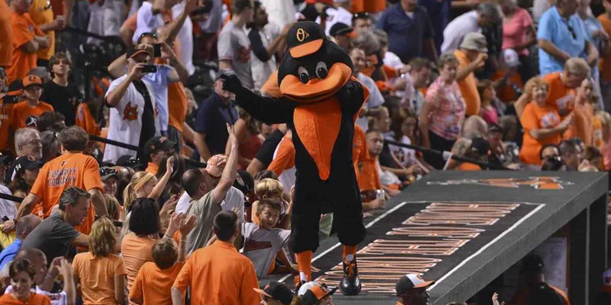 Orioles chance year inside overview: World wide prospective customers