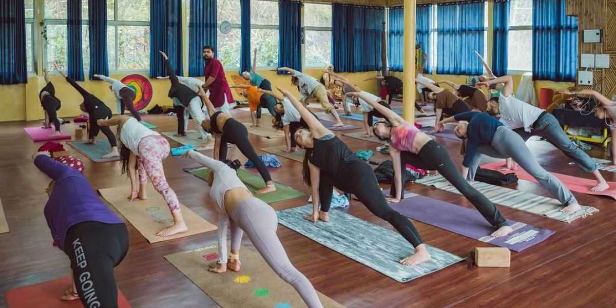 Yoga Teacher Training In Rishikesh