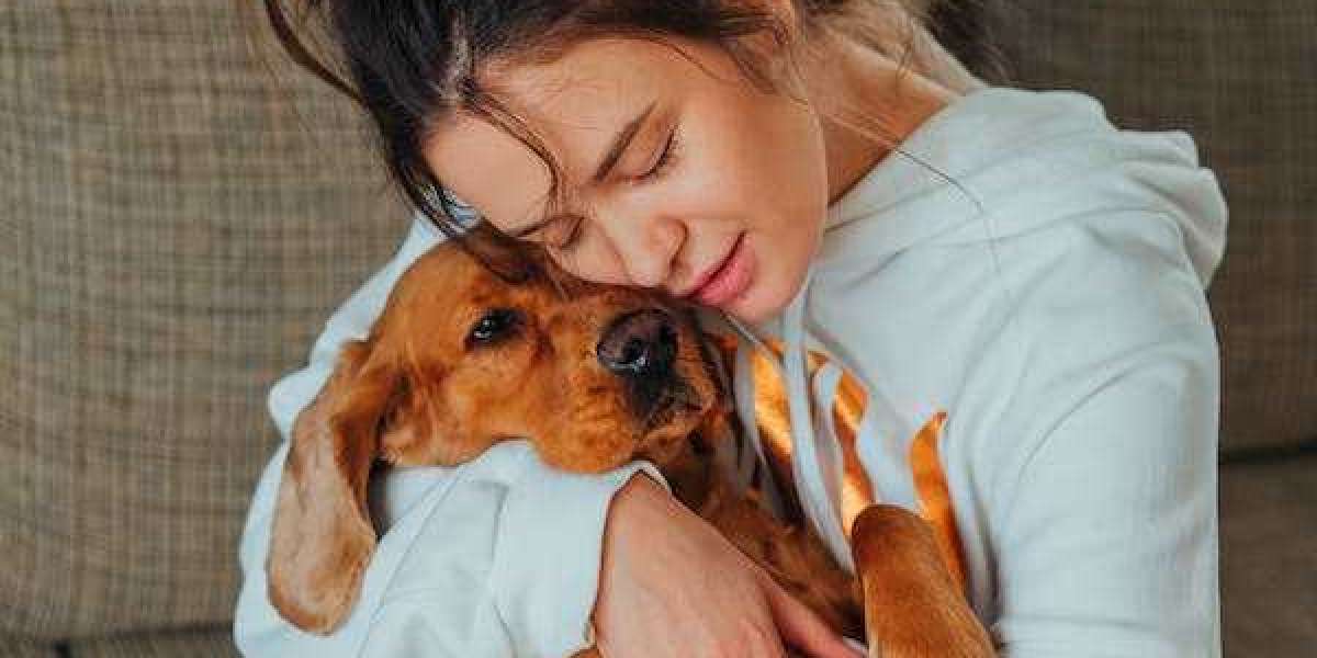 Pet Care 101: Understanding the Essentials of Proper Pet Care