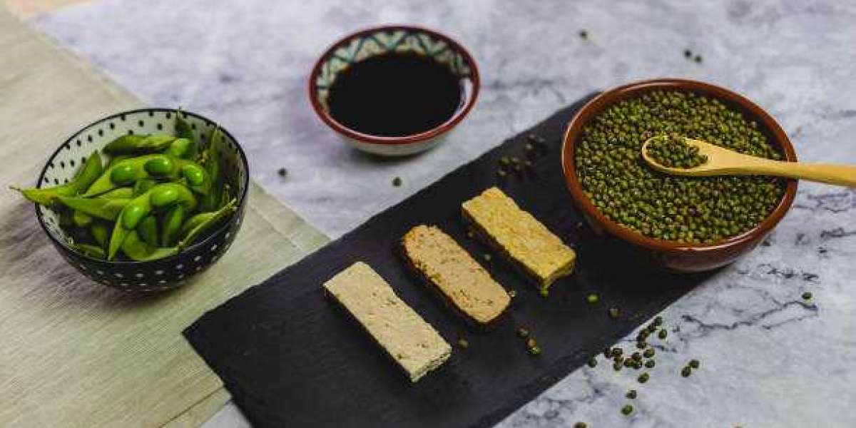 Soy Derivatives Market Research | Present Scenario and Growth Prospects 2028