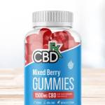 Peak Power CBD Gummies Peak Power CBD Gummies