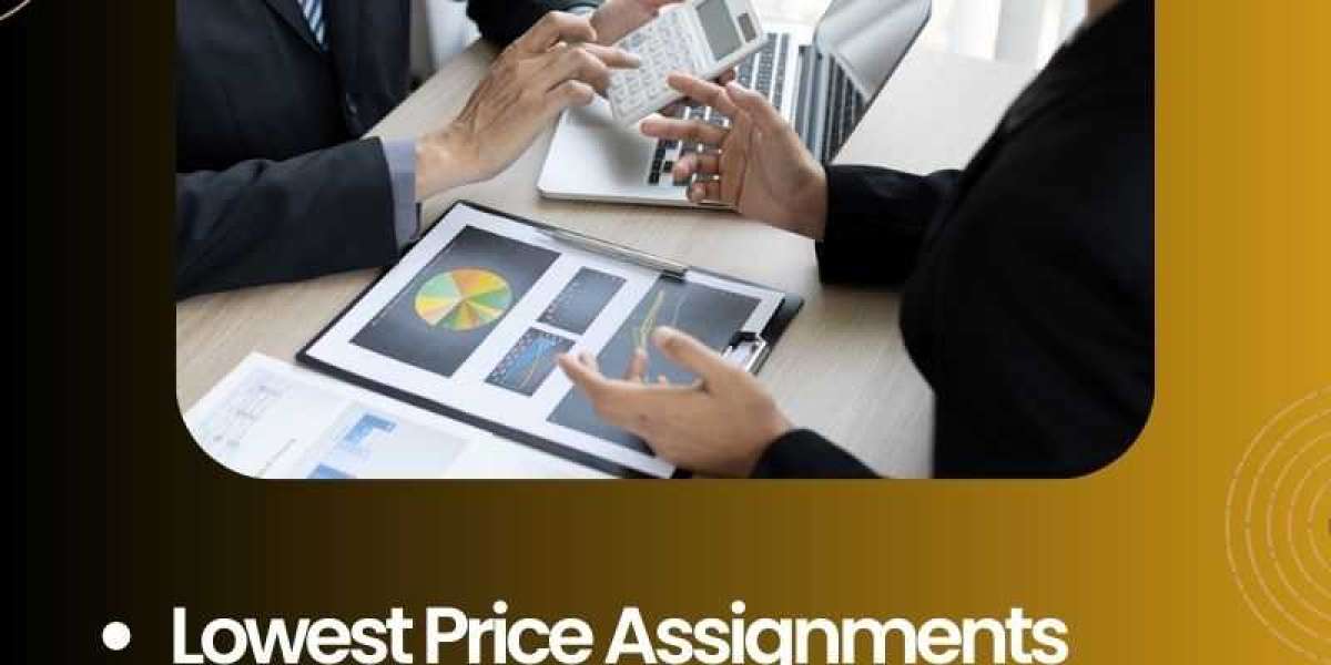 Choosing the Best Finance Assignment Help Service Online: A Guide