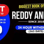 reddy seo1