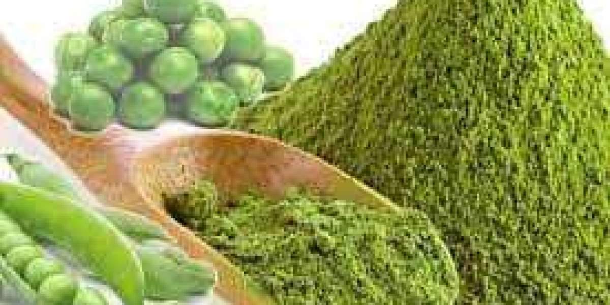 Pea Protein Market Growth Strategies and Forecast 2028