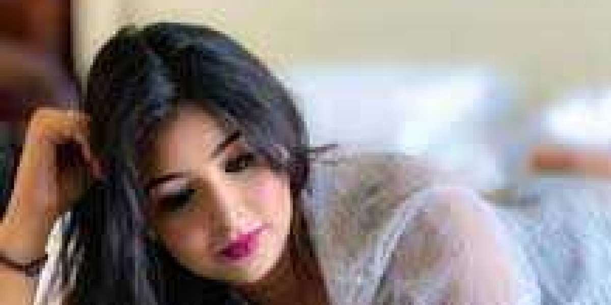 Ambala Escort Services