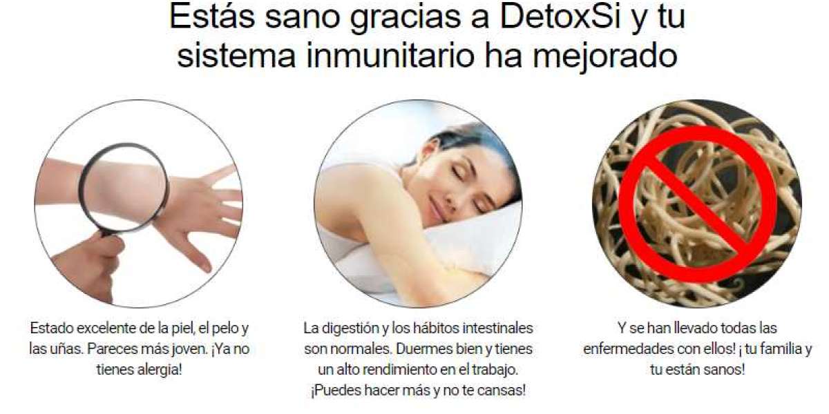 https://www.offernutra.com/argentina/detoxsi/