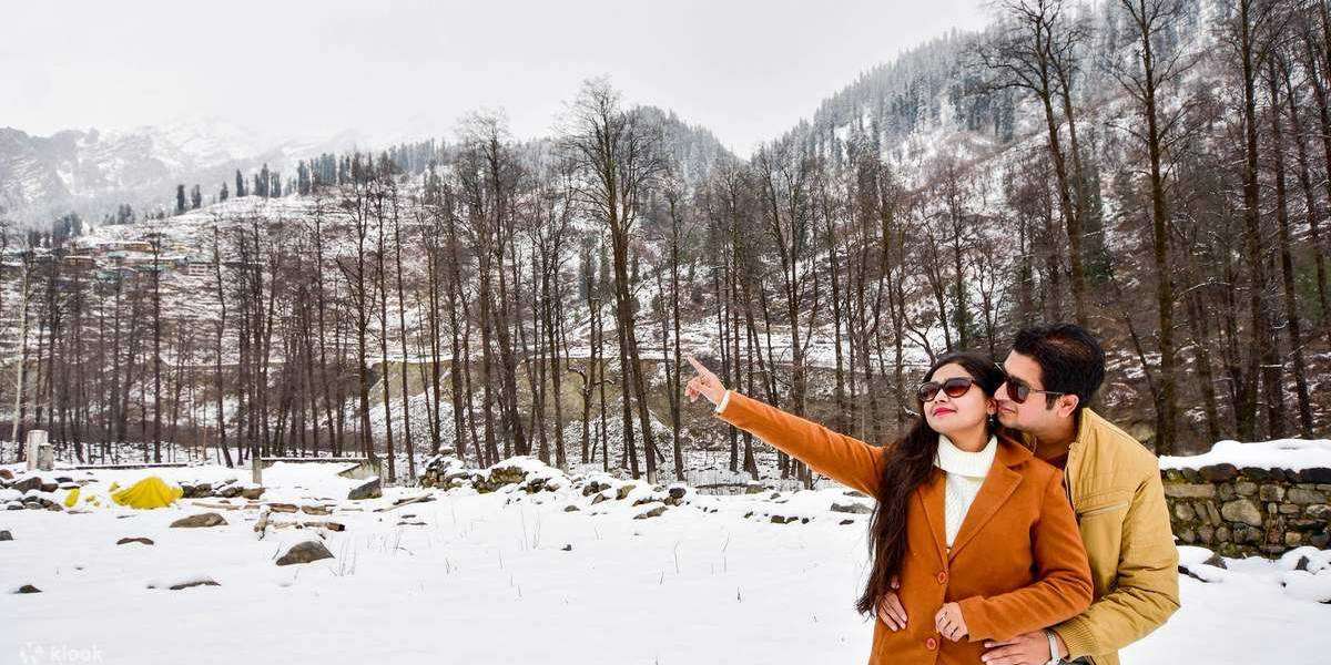 Manali Packages From Chandigarh