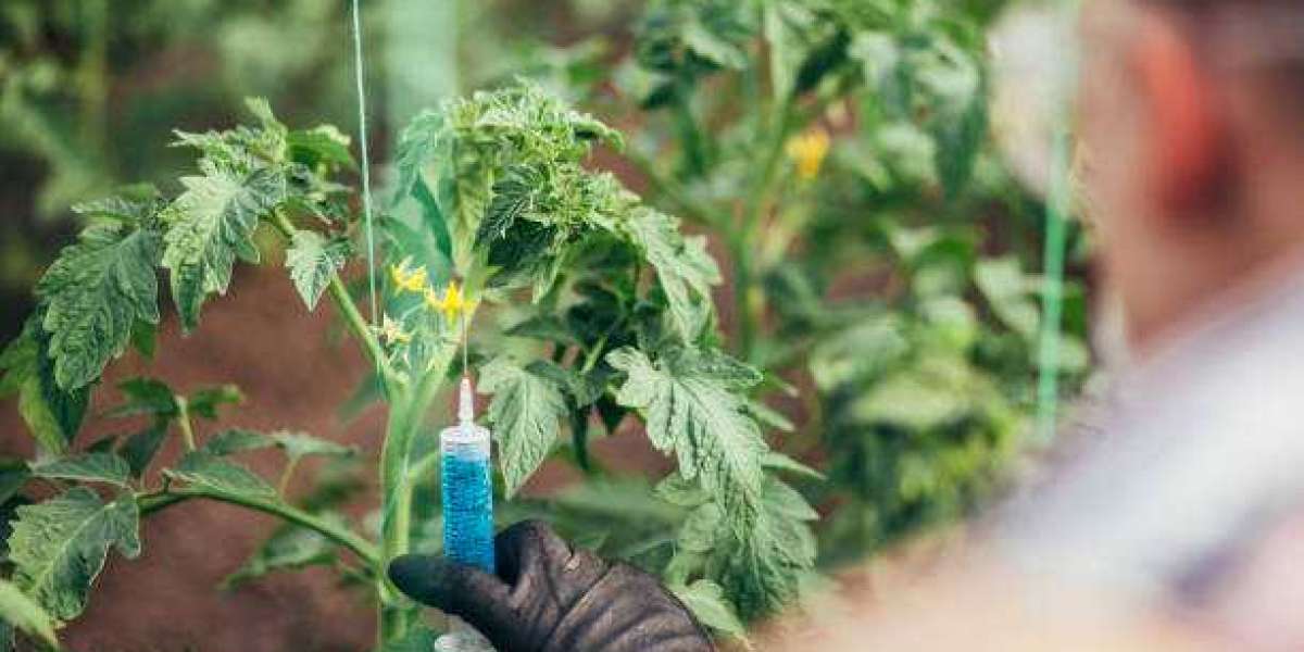 Biorational Pesticides Market Share, Growth Size Analysis by Regional, Demand Factors, and Forecast to 2028