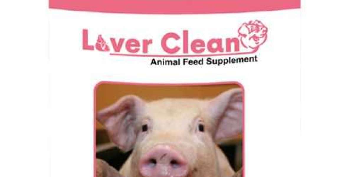 Swine Feed Supplements Market 2022 Global Outlook –Chr. Hansen Holding A/S, DSM, Lallemand Inc.