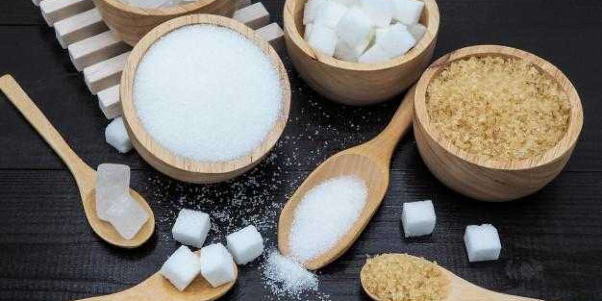 Syrups Sugar Excipients Market Trends, Segments, Key Players and Forecast to 2028