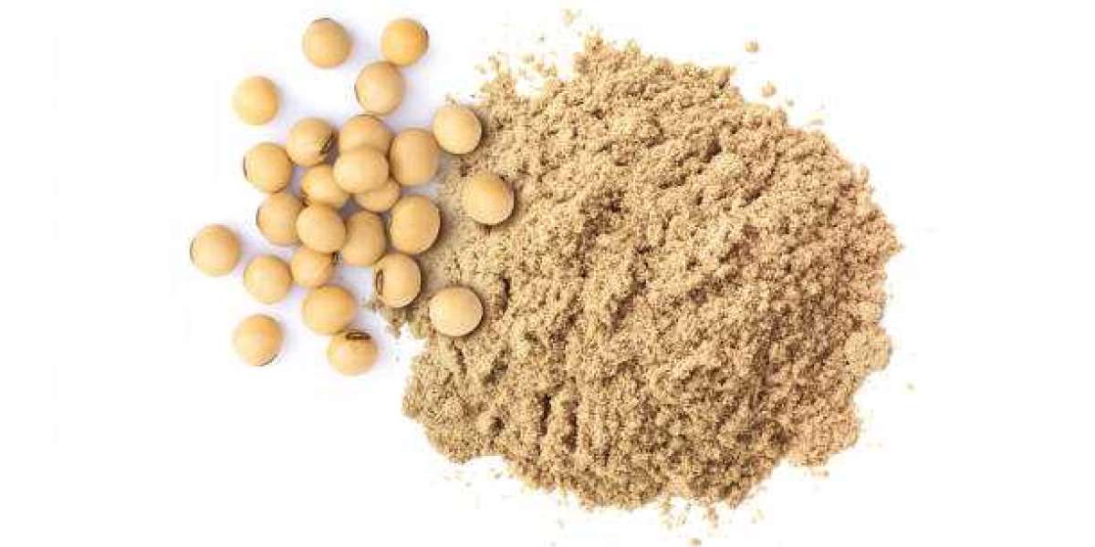 Soy Protein Market Report Players, Trends and Forecast 2030