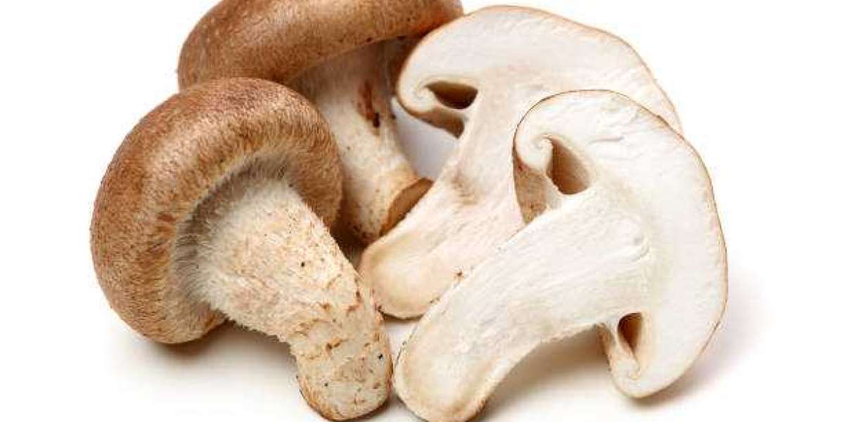 Shiitake Mushroom Market Report Applications, Outstanding Growth, status and Business Opportunities