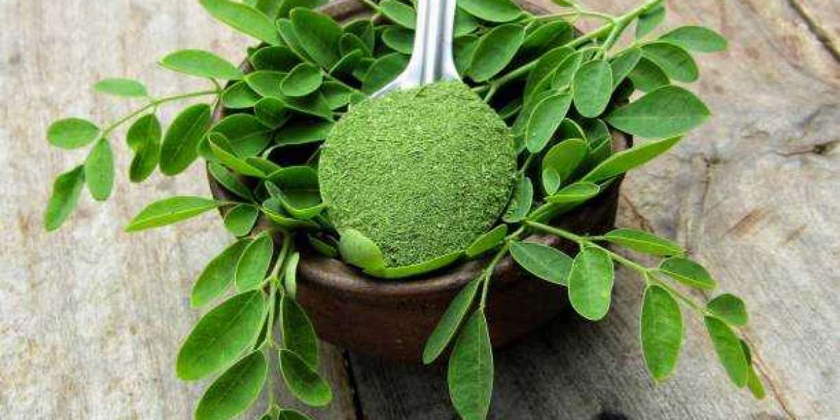 Moringa Products Market Insights Assessment, Worldwide Growth, Key Players, Analysis and Forecast to 2028