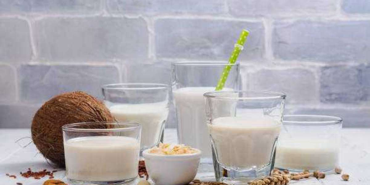 Dairy Alternatives Products Market Report Overview, Dynamics, Key Players, Opportunities and Forecast to 2030