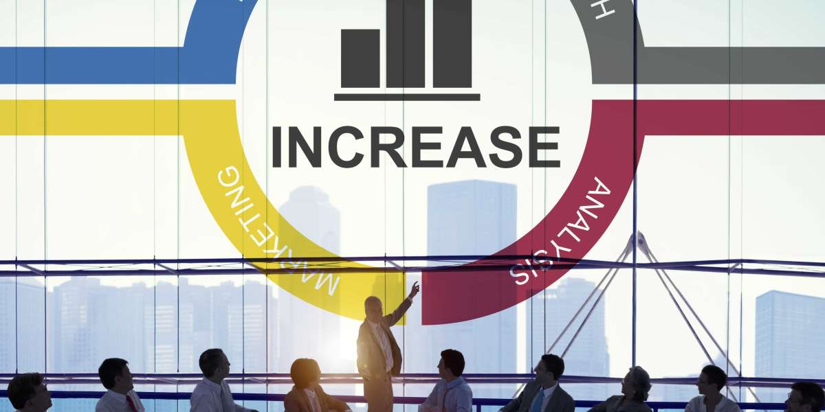 Revenue Cycle Management Market  In-Depth Analysis and Future Forecast 2023-2032