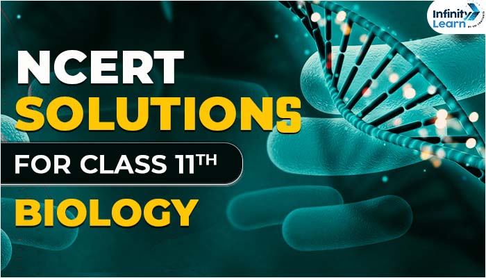 NCERT Solutions for Class 11 Biology : Updated 2023-24 PDF | Infinity Learn