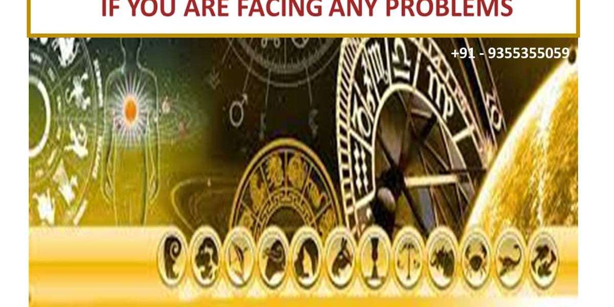 Top astrologer in Delhi