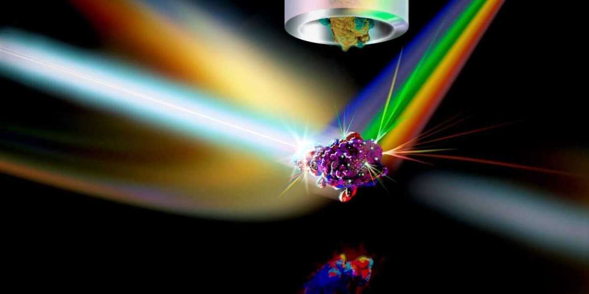 Global Flow Cytometry Market Size, Share, Growth & Forecast 2031