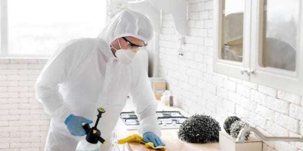 Effective Pest Control Measures for Jaipur Residents: Keeping Your Home Safe and Healthy